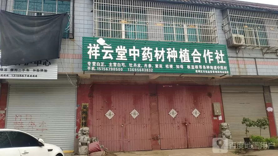 中药材种植合作公司