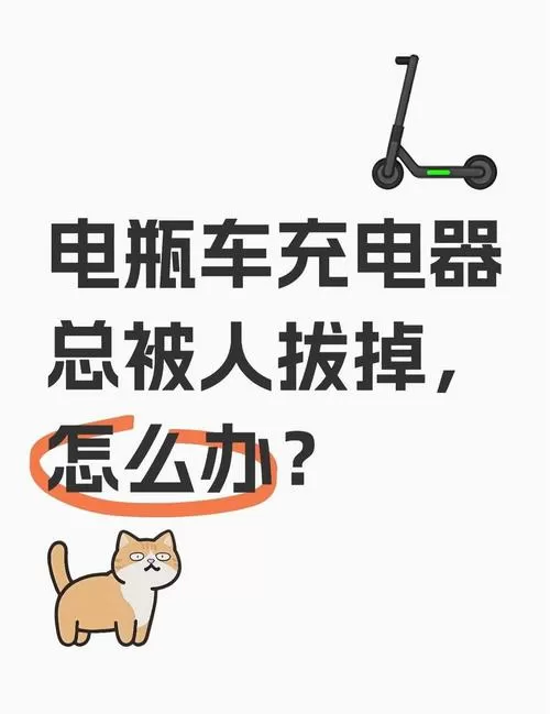 电动车充电2天忘记拔了