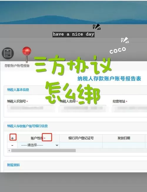 怎么进行第三方账号绑定