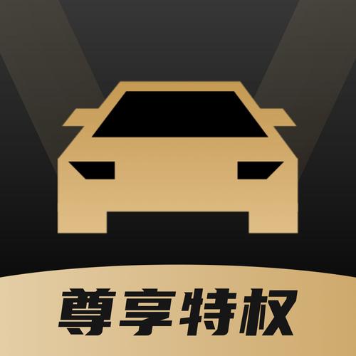汽车vip是什么意思啊