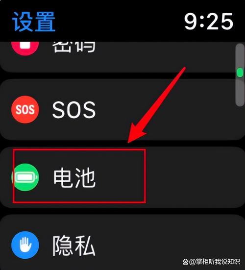 苹果手表电池健康度怎么查