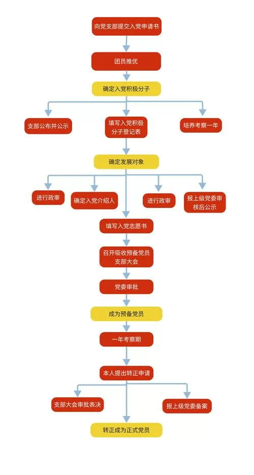 党员灯塔系统录入流程