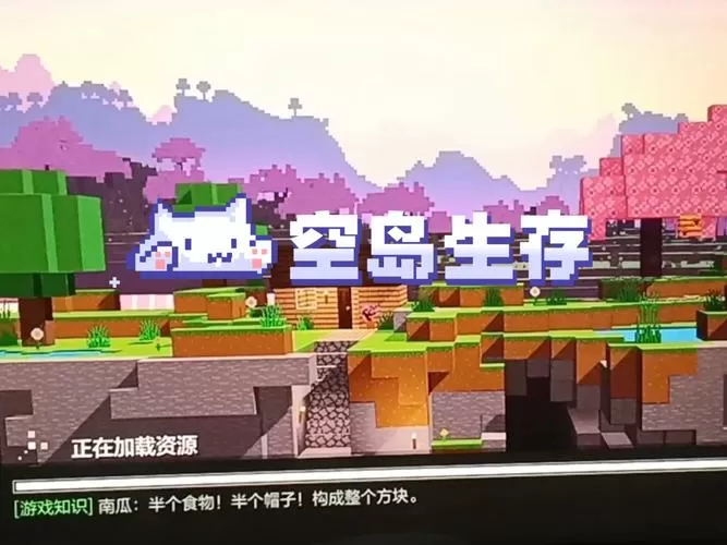 阿神解说我的世界空岛生存