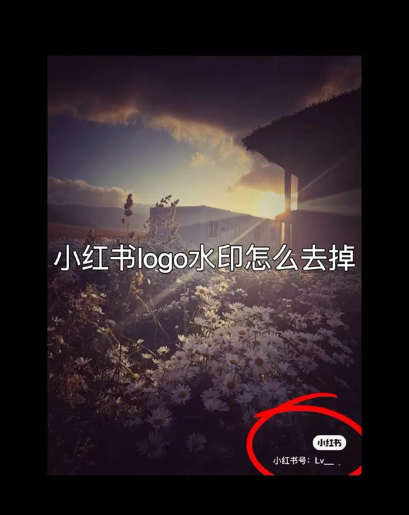 小红书闪退的解决方法