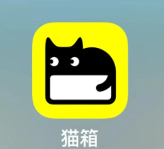 猫咪宝盒app破解版