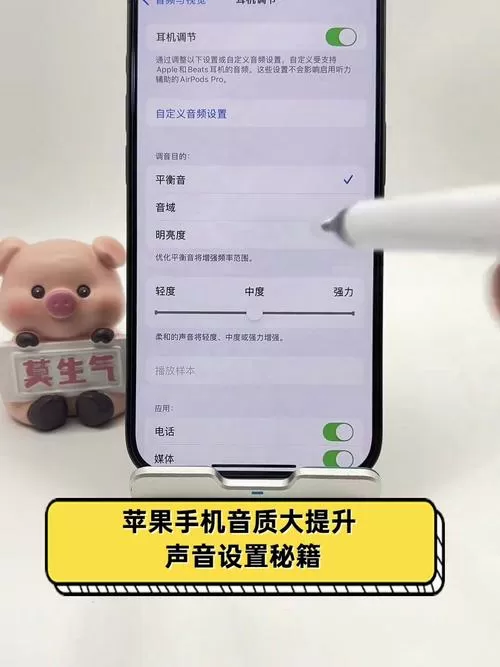 苹果手机按键音量在哪里设置