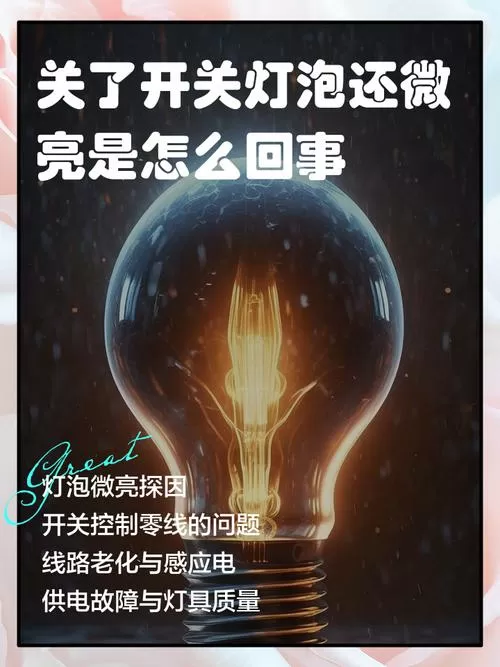 晚上灯开关关了灯还会亮