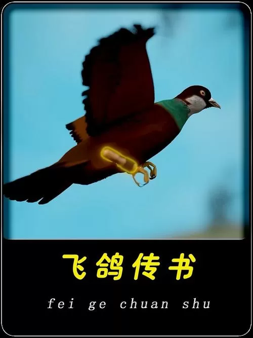 飞鸽传书速度