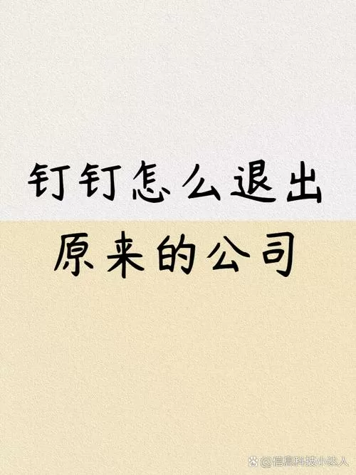 钉钉撤回了怎么恢复