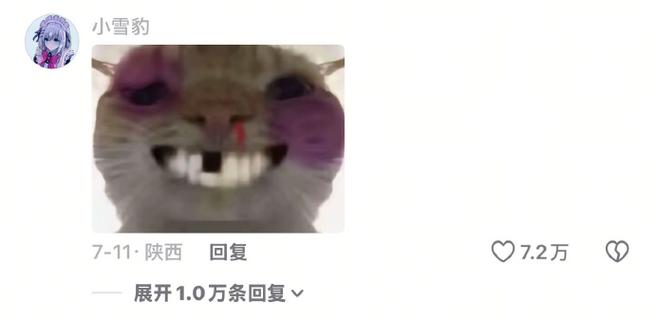 小猫鼻青脸肿表情包