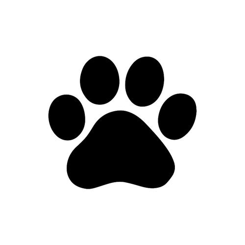 狗爪和猫爪