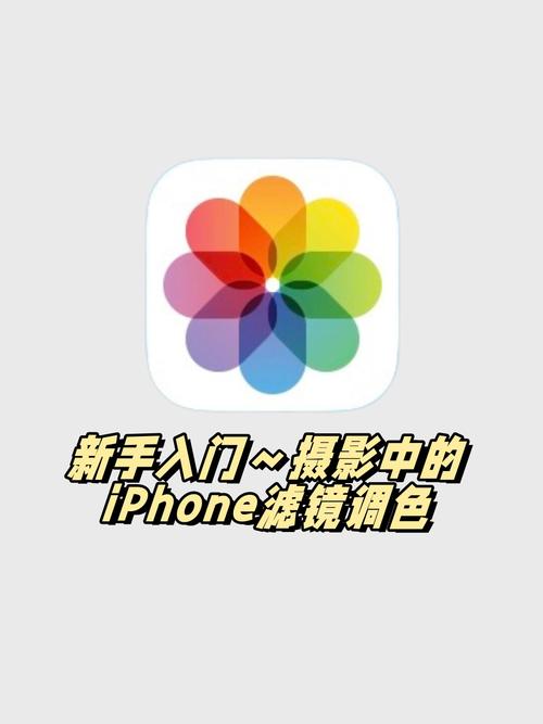 苹果5s拍照镜像怎么调回来