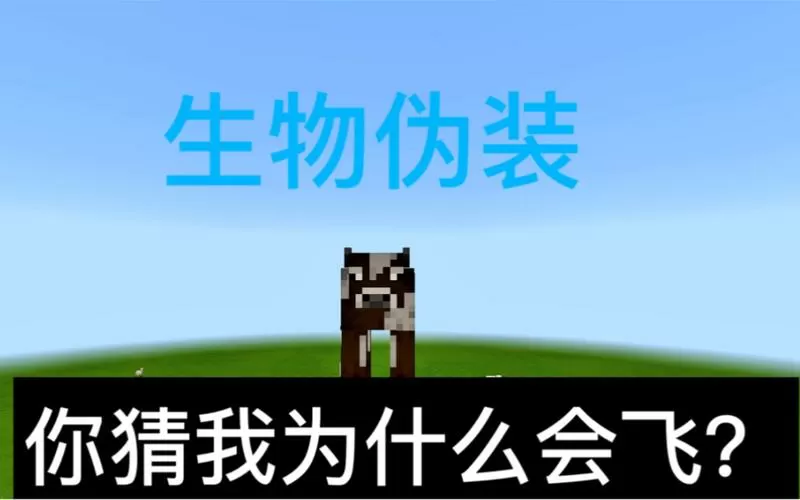 命令方块杀死生物指令