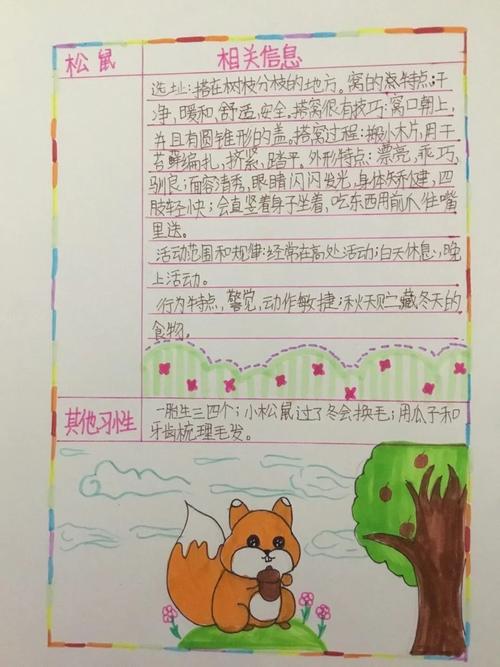 二年级松鼠阅读理解答案