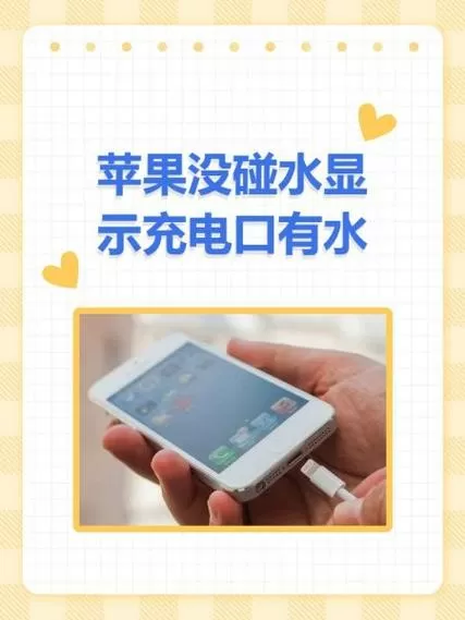 苹果充电器进水了还能用吗