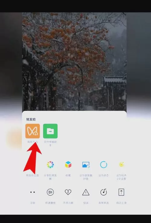空间相册的视频怎么保存到手机相册