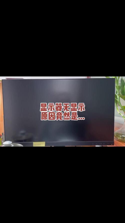 显示器灯不亮是什么原因