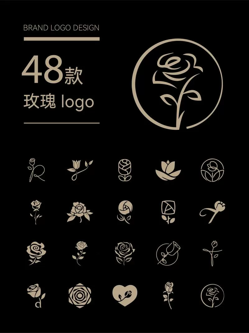 最迷人的玫瑰花图片