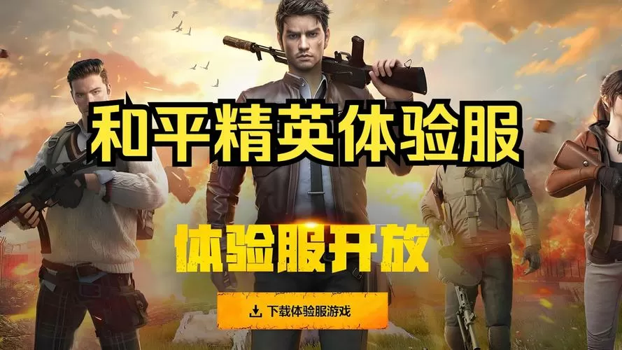 和平精英体验服单机版