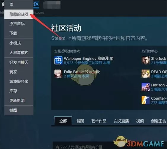 steam隐藏了在哪里找