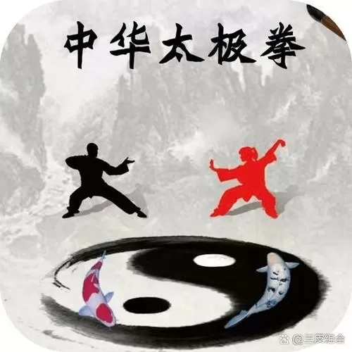 太极第一人免费阅读