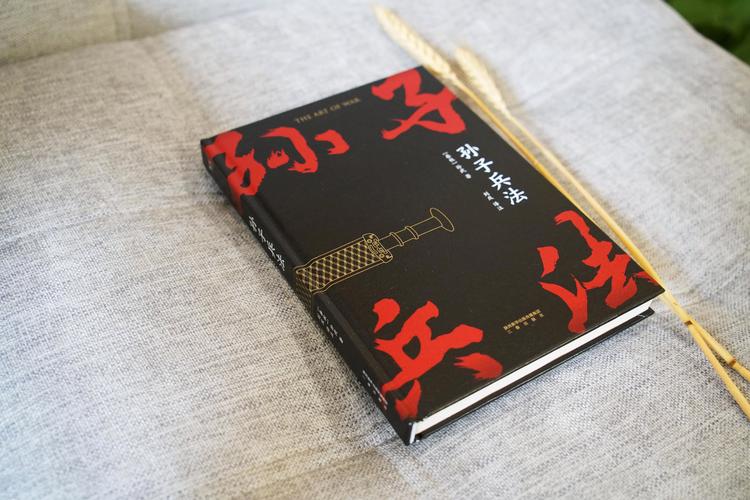 我的孙子都很帅未完结