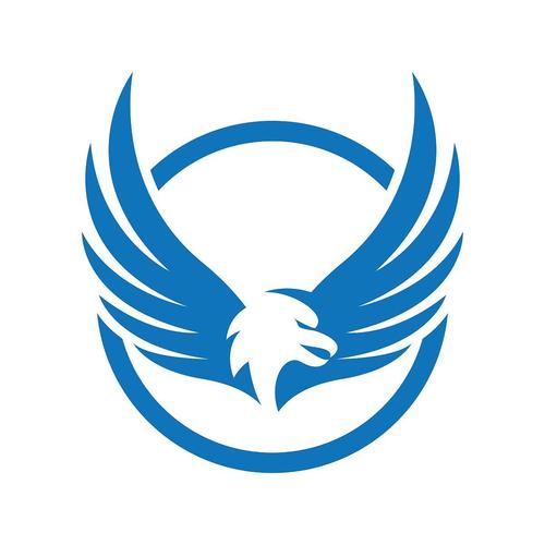 鹰击长空2正版