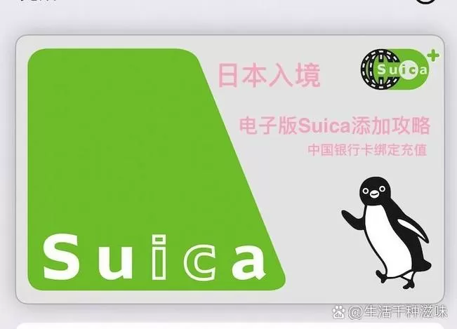 西瓜卡怎么充值