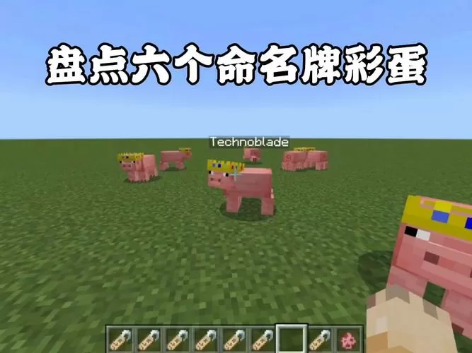 我的世界命名牌彩蛋