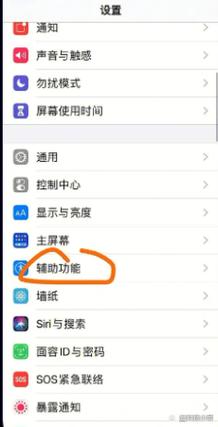 苹果平板下面任务栏怎么取消