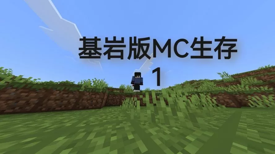 我的世界生存获得基岩