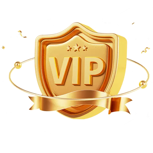 vip插件下载