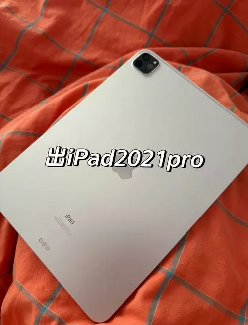 ipad屏幕下方有一个长方形