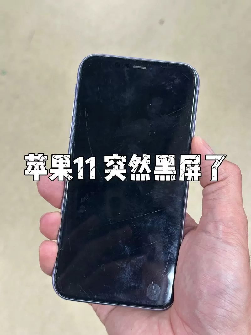 苹果11突然黑屏开不了机怎么办