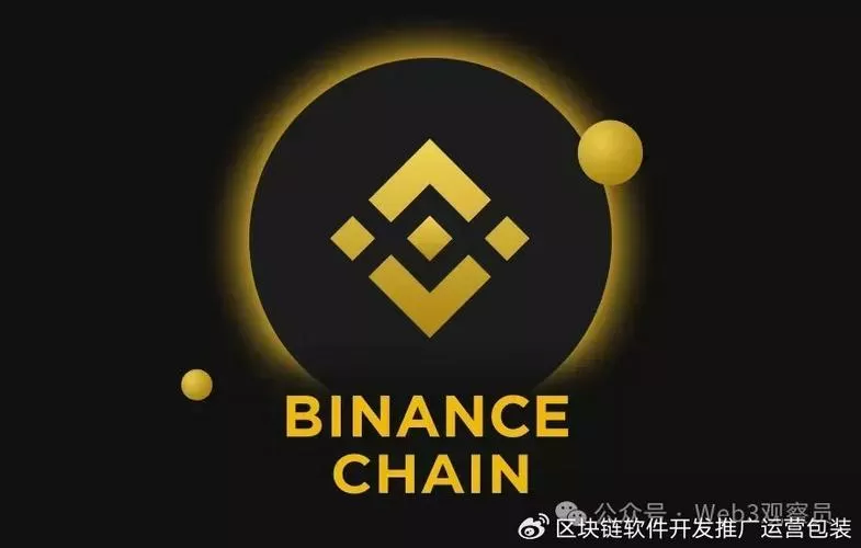 bsc链是什么链