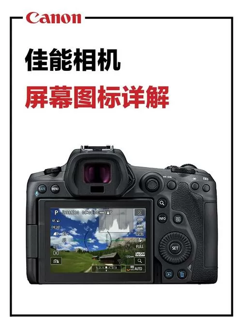 佳能相机怎么让屏幕显示画面