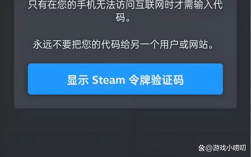steam令牌验证码在哪