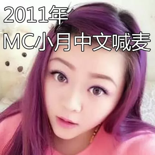 我的世界小月真人