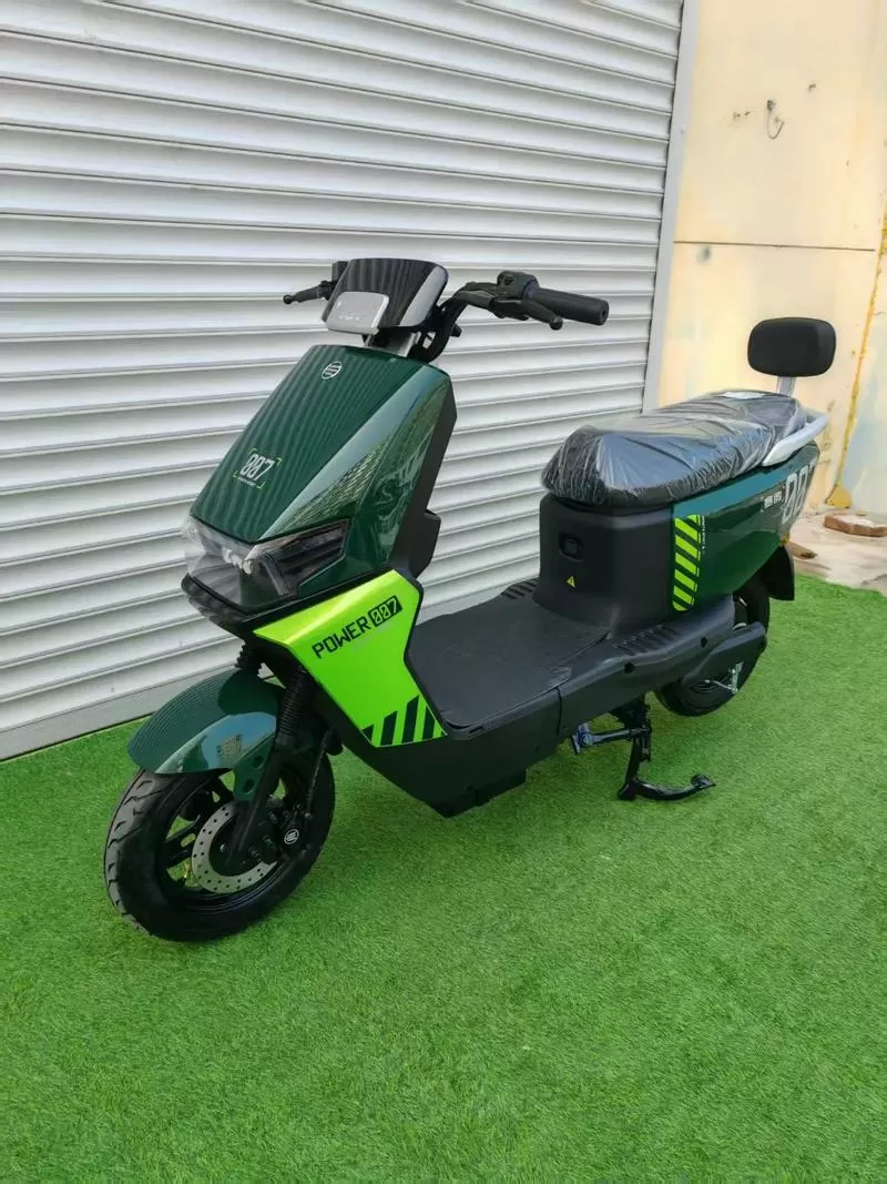 赛鸽电动自行车价格及图片图标