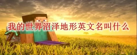 我的世界查找沼泽地形指令