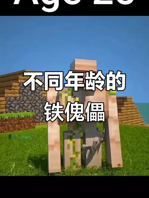 我的世界生成铁傀儡图标
