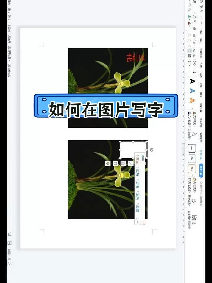 文字文稿怎么添加图片