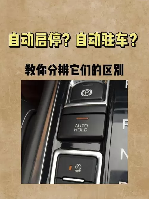 挂d挡车会自动走吗
