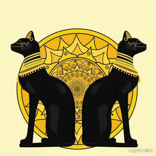 埃及法老的猫
