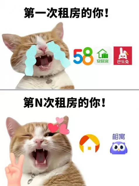 男主是房东,女主睡觉抵租