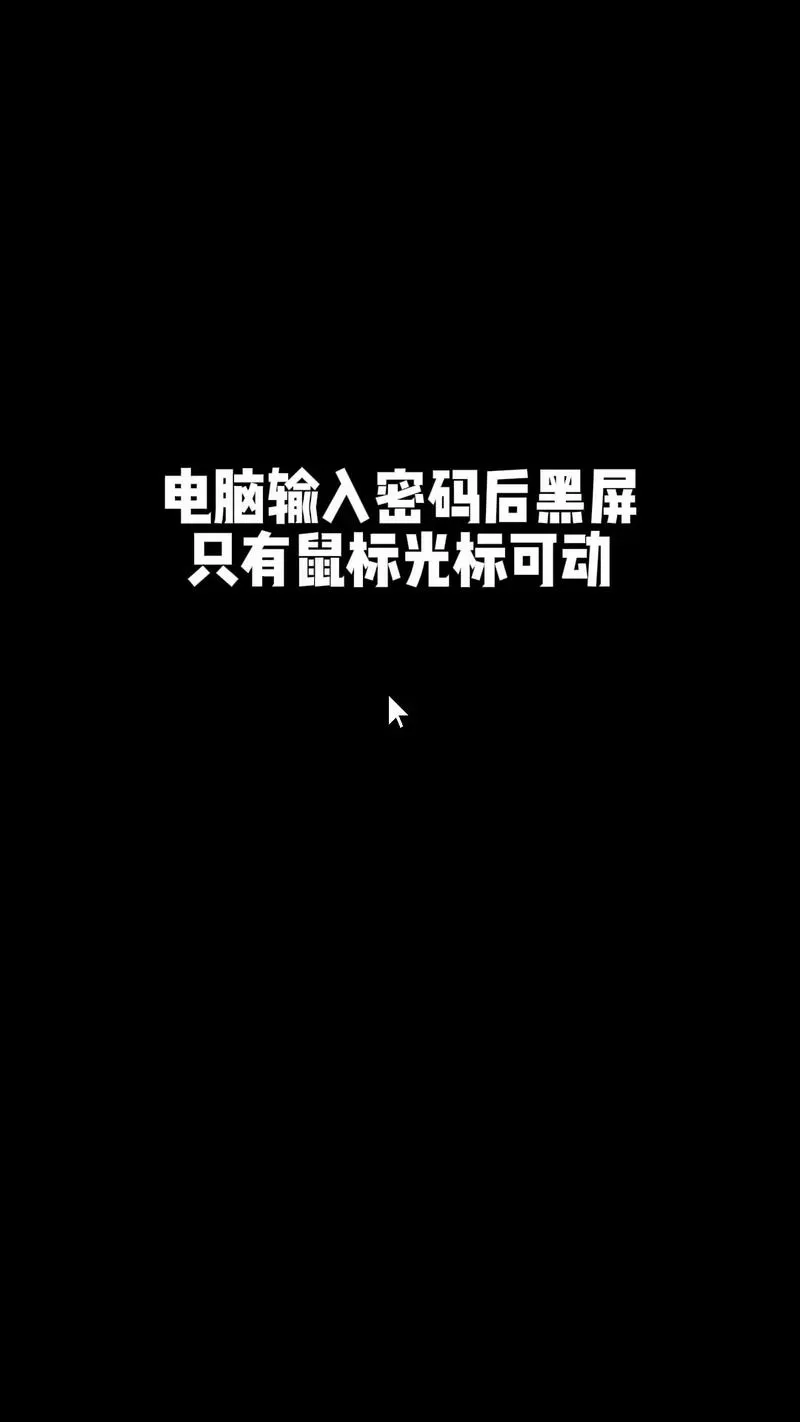 进入系统后黑屏只有鼠标