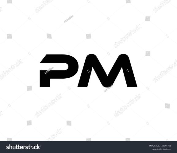pm开服器汉化版下载