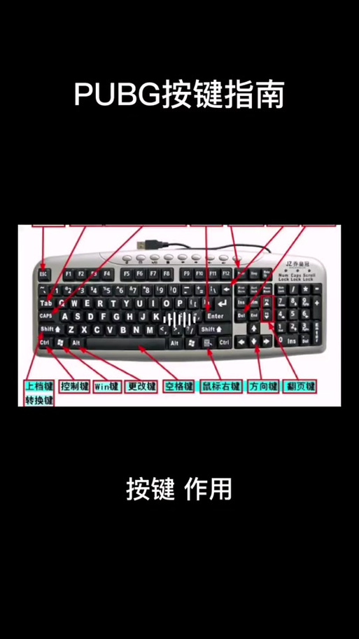 pubg自动奔跑是哪个键