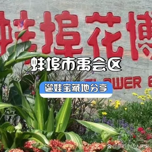 小华花圃怎么关掉