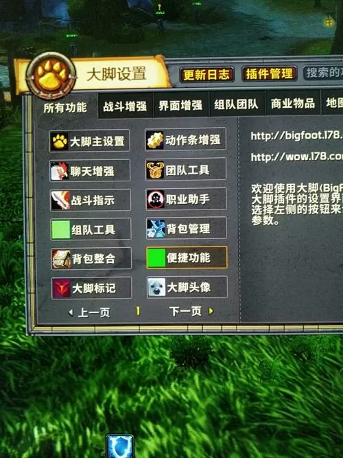 安装了大脚插件进游戏不显示游戏截图